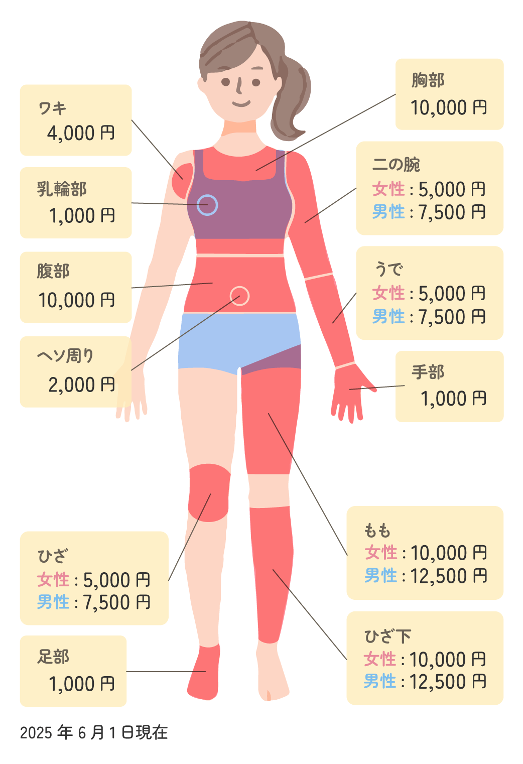 医療レーザー脱毛料金・正面